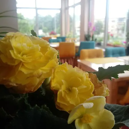 Miris Dunja 88 Hotel 3*