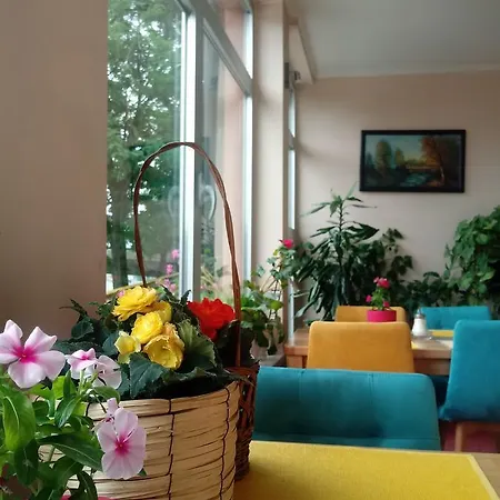 Отель Miris Dunja 88 3*