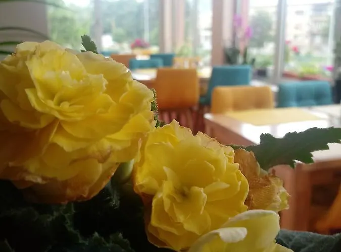 Miris Dunja 88 Hotel 3*